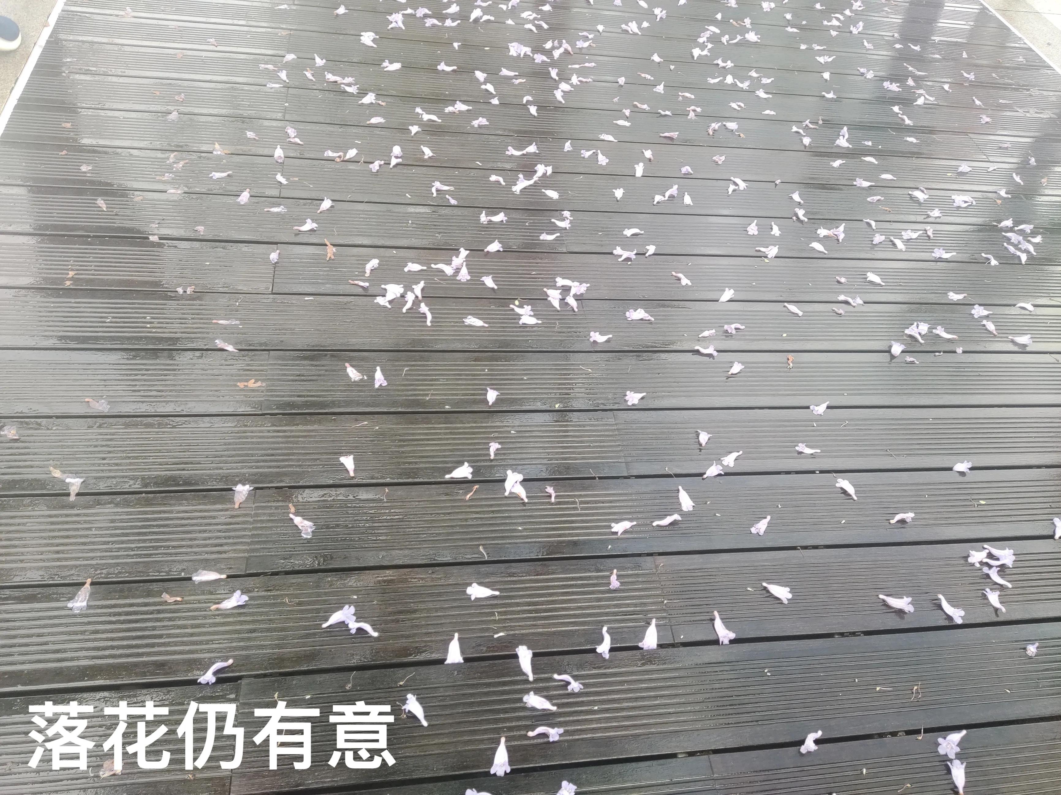 人性情绪之七情六欲,人都有七情六欲和小情绪