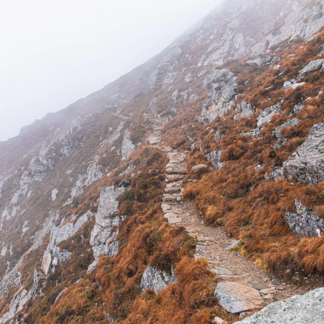 太白山是陕西最高点吗,秦岭最高峰太白山