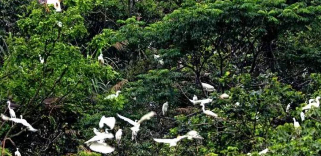 花60万让梅西举杯,辟谣花30万能让梅西敬酒