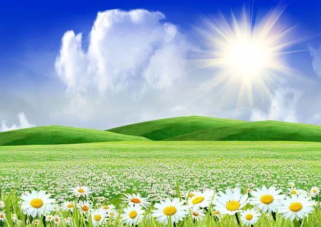 关于独一无二的我的作文高中,我就是独一无二作文高中