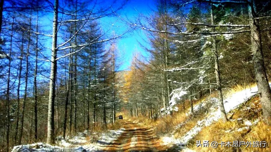西安秦岭看雪景的最佳地方,西安秦岭小火车看雪景攻略