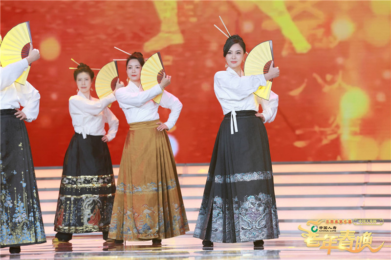 中国人寿杯春晚,中国人寿昆明老年人迎春晚会