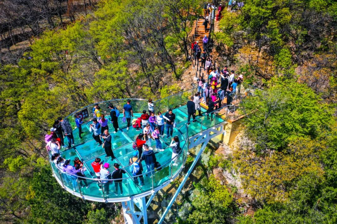 身份证号3703开头是哪里,身份证3703开头是哪里