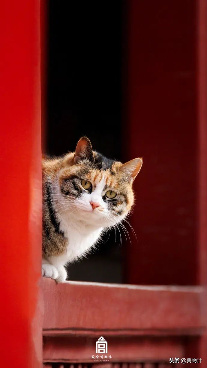 愿五月平安顺利开心,愿五月一切平安顺遂