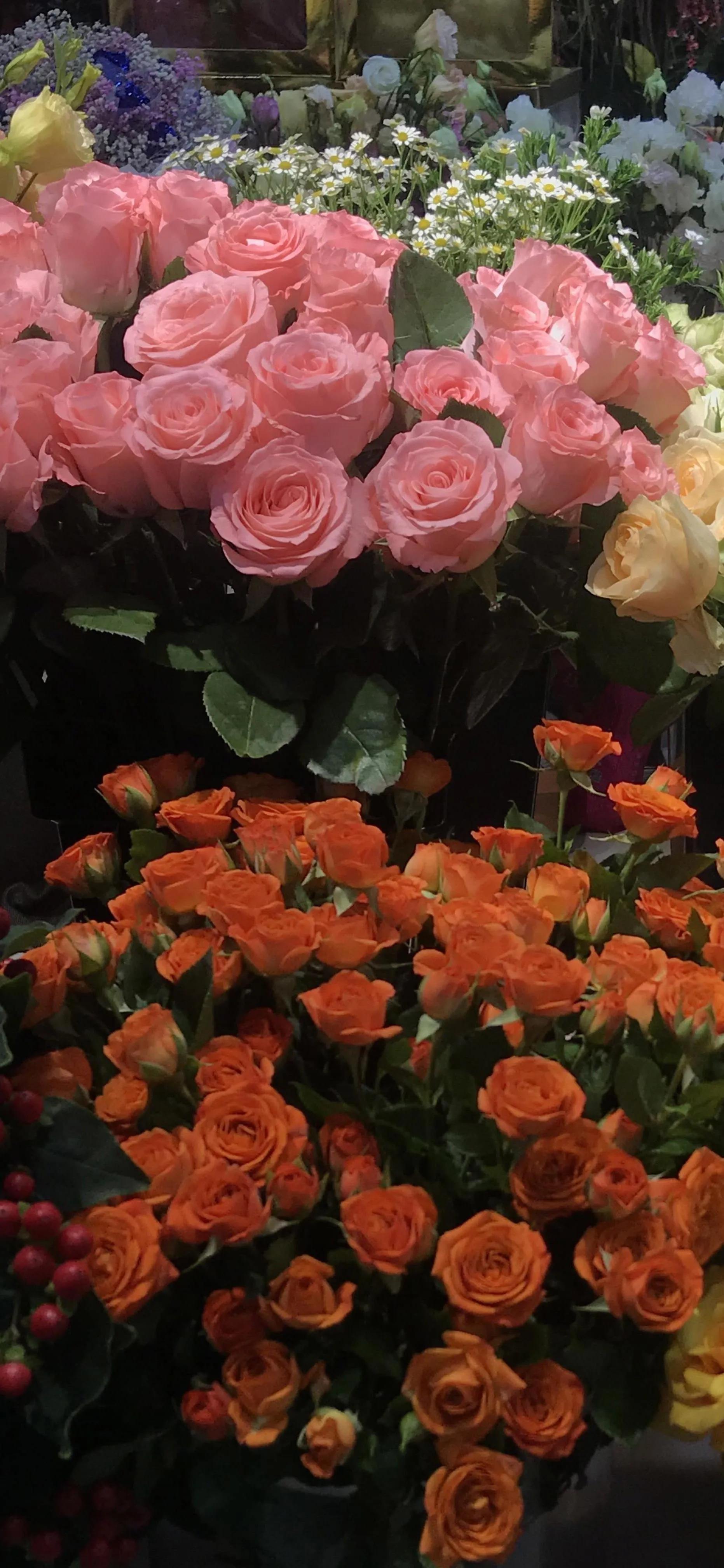 壁纸朋友专用,壁纸朋友高清