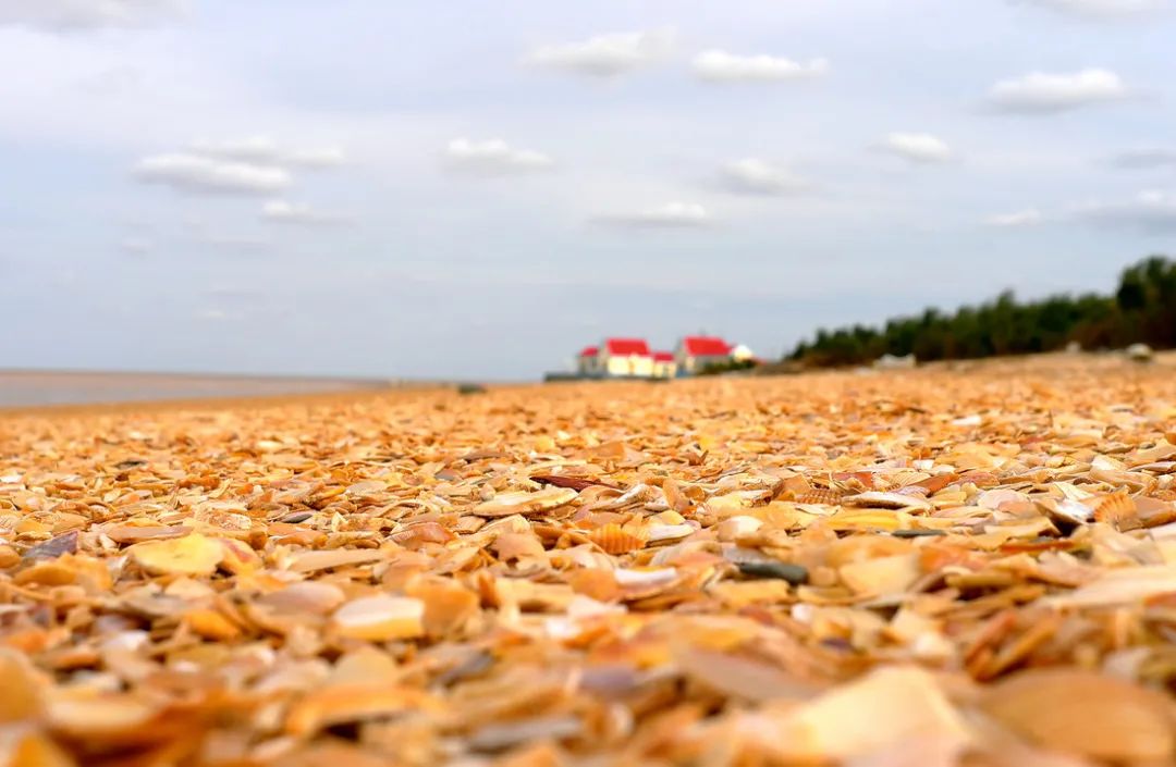 我爱我的家乡滨州市,我的家乡在滨州的作文