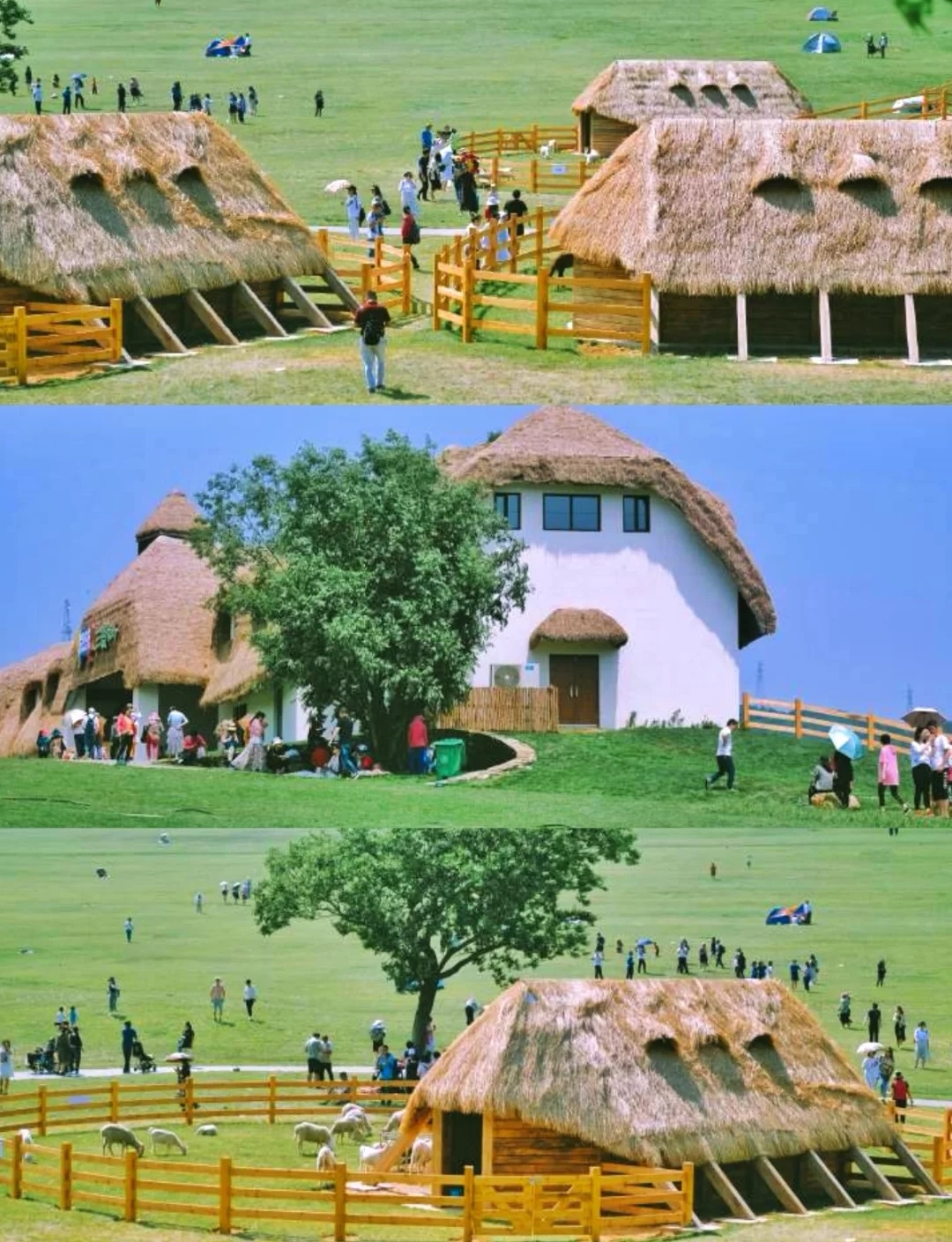 涓夊鐗у満娓歌鎰熷彈,娓哥帺涓夊鐗у満鎰熷彈