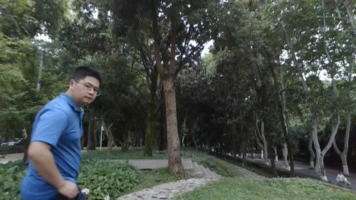 笔记本雷蛇灵刃14锐龙版,雷蛇笔记本灵刃14锐龙价格