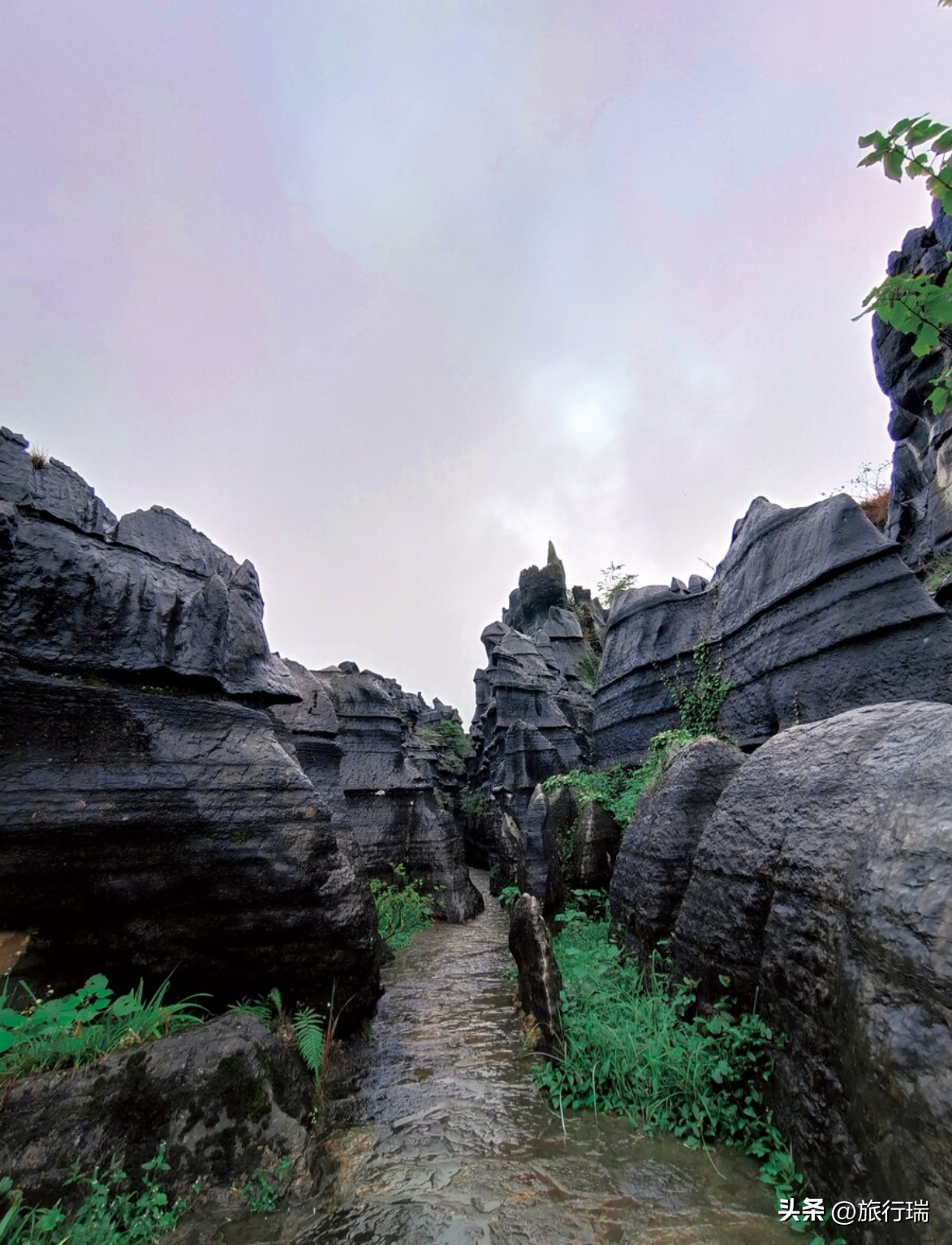 到重庆还没去哪里玩过,去过很多地方唯独没有去过重庆