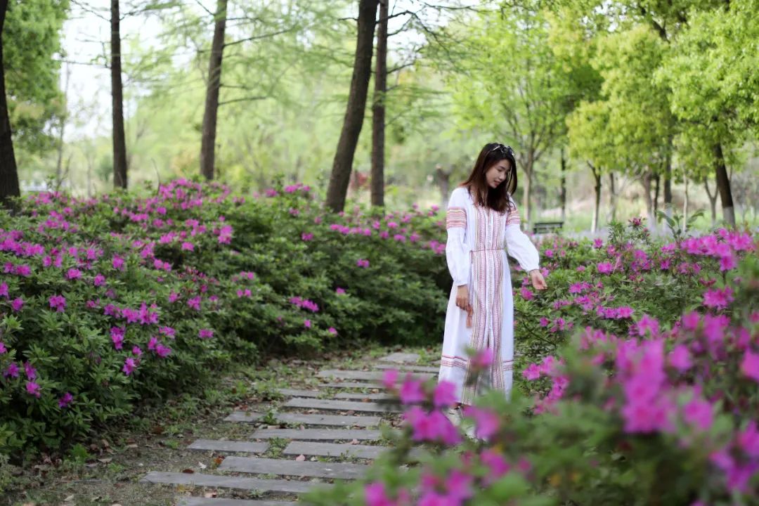 春来夏往，秋收冬藏，带你感受沙家浜的四季，别错过身边的美好