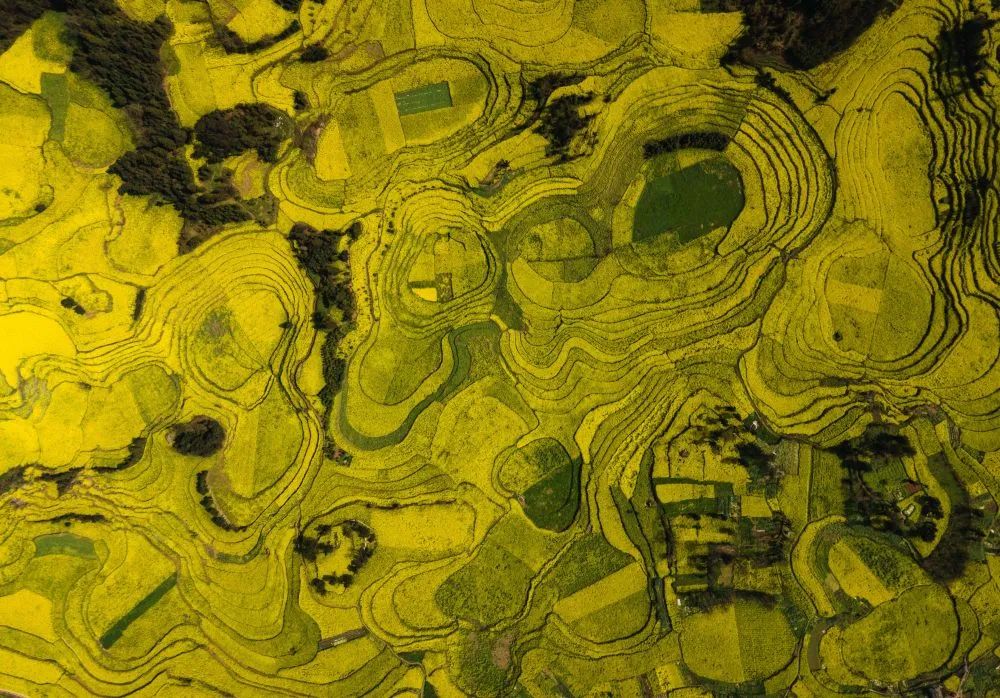 有一种生活叫做云南的生活,有一种叫云南的生活原文