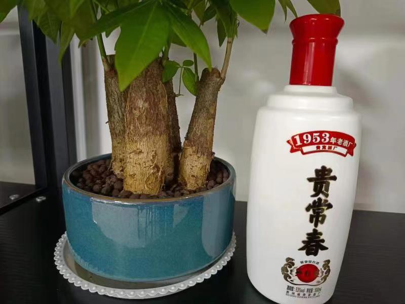 路边烟酒店暗藏的门道,烟酒店赚钱的门道是什么