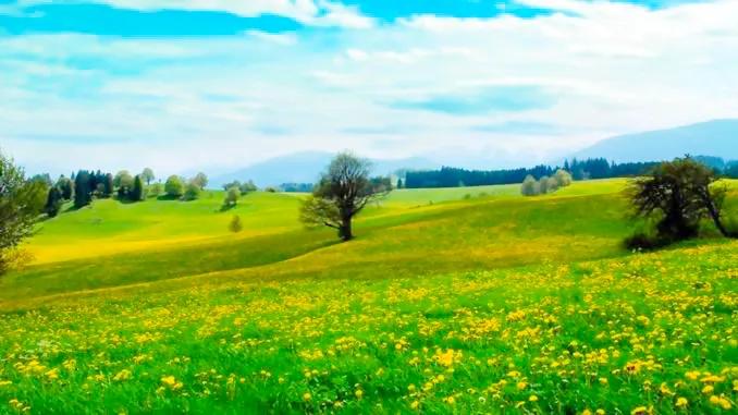 人生难得静心,人生难得清净心