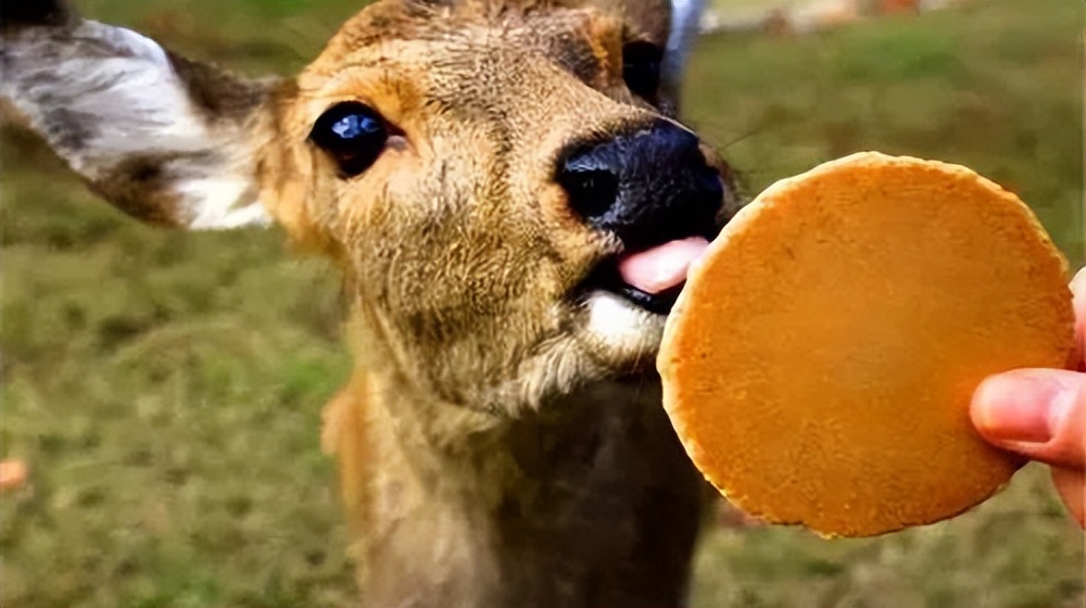 母亲节来打卡|长春电影嘉年华又上新啦！这份攻略请收好→