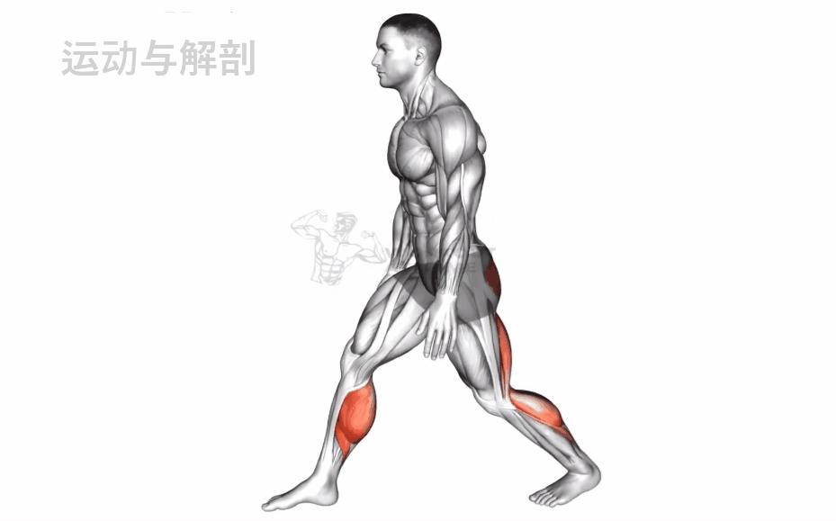 跑步之前热身视频,跑步前热身运动不伤膝盖