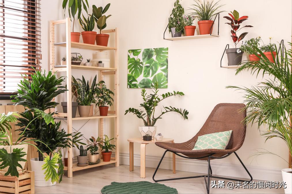 在家怎样制作可以赚钱的副业,老年人在家赚钱简单的副业