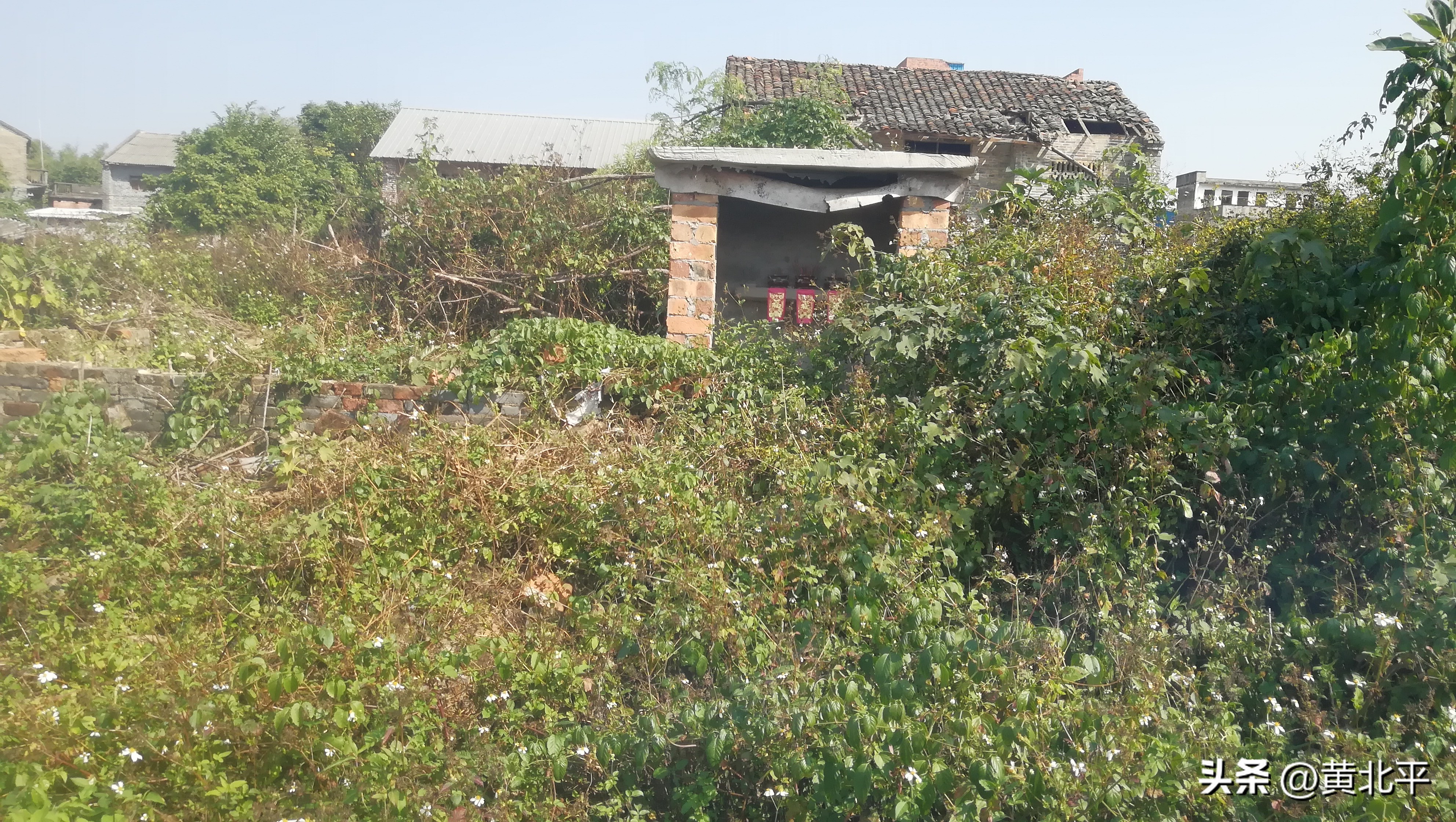 南宁隆安县那桐镇旅游景点,广西隆安那桐镇旅游村