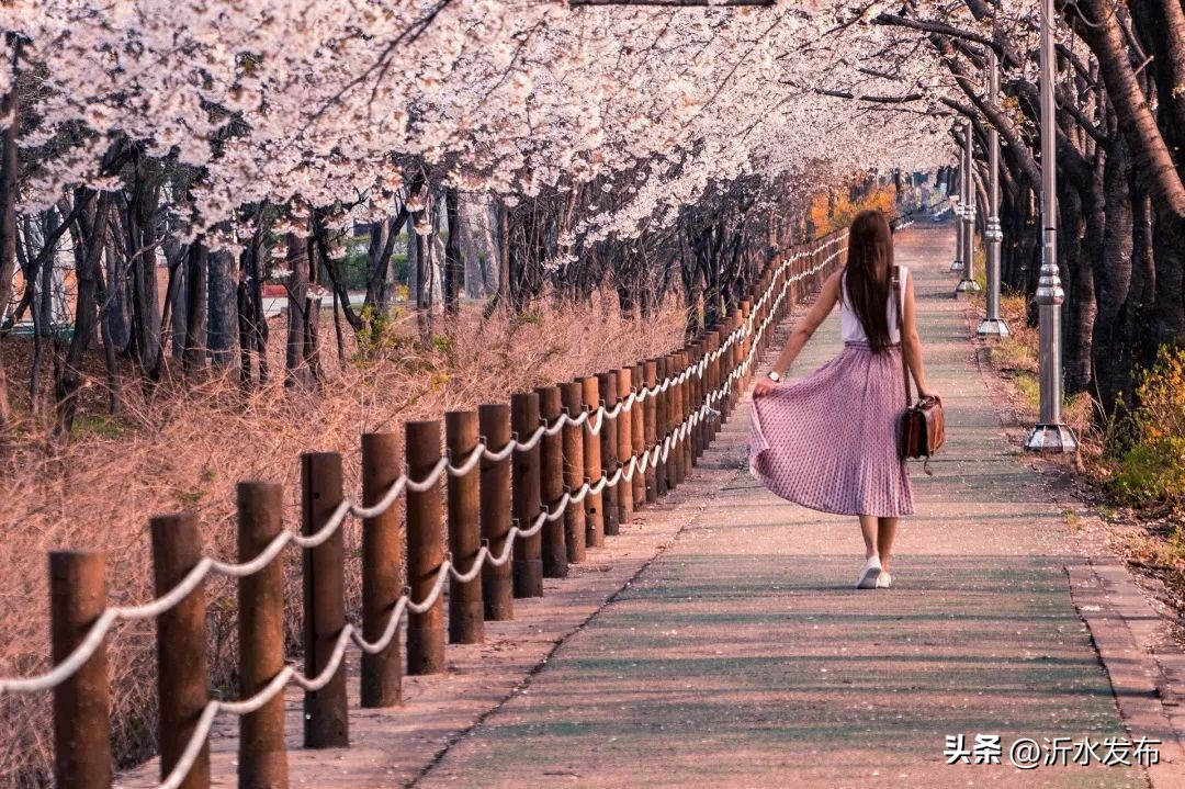 2023年财气最好的是哪几大生肖,2023年财运最好的是哪几个生肖