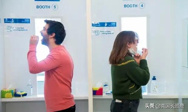 pcr精准检测,pcr实时检测