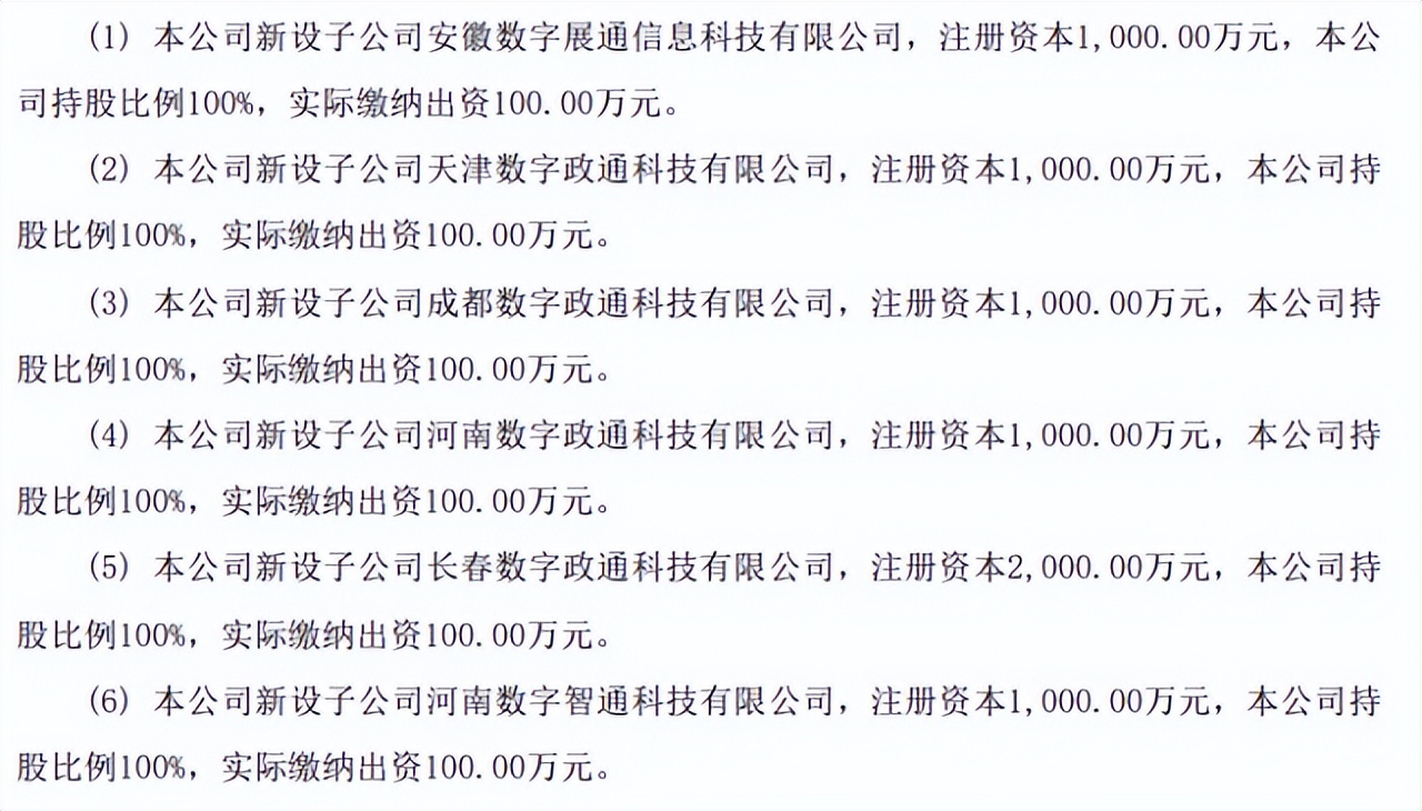 智慧城市市场参与者,数字政通智慧城市智慧政务