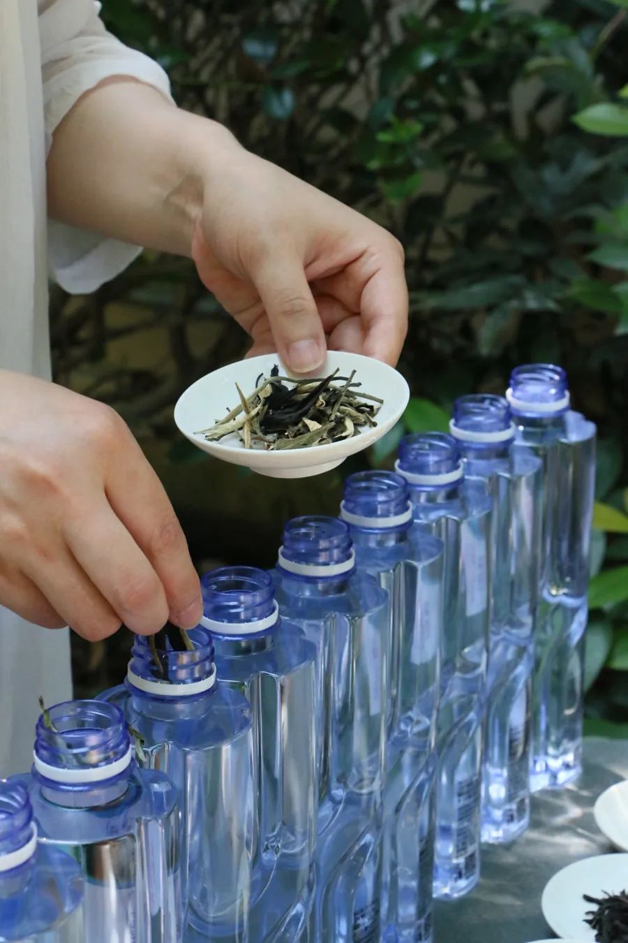 碧螺春泡的茶红色,碧螺春和鸭屎香