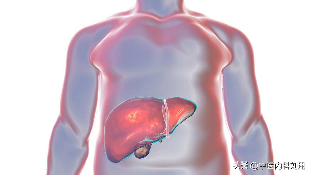 肝肾阴虚加脾虚的耳鸣是什么表现,经常耳鸣心悸