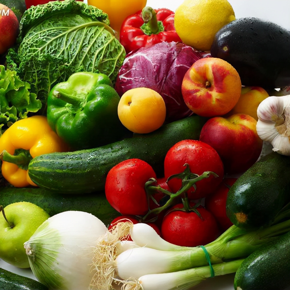 狗狗一定不能吃盐和油,狗狗一定不要吃什么