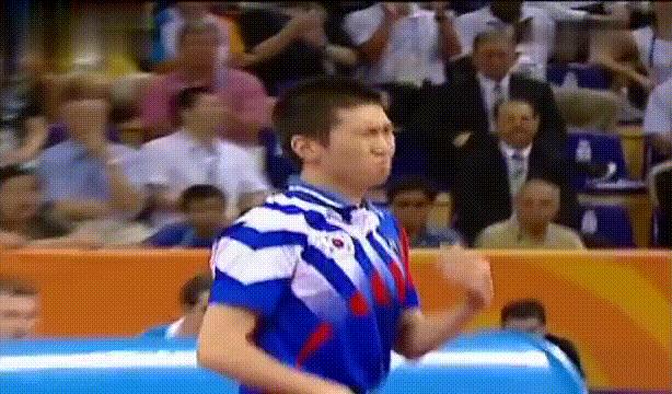 07世乒赛半决赛王励勤柳承敏,柳承敏奥运会夺冠如何庆祝的