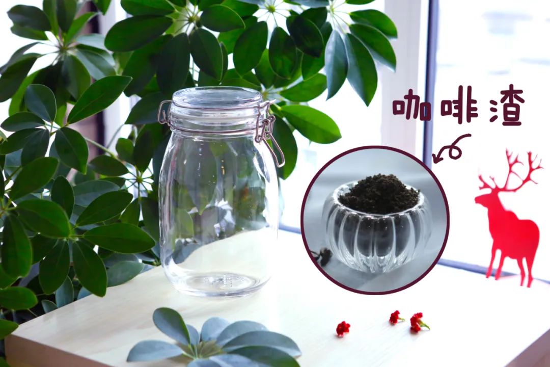 咖啡重度爱好者,咖啡重度爱好者必买的东西