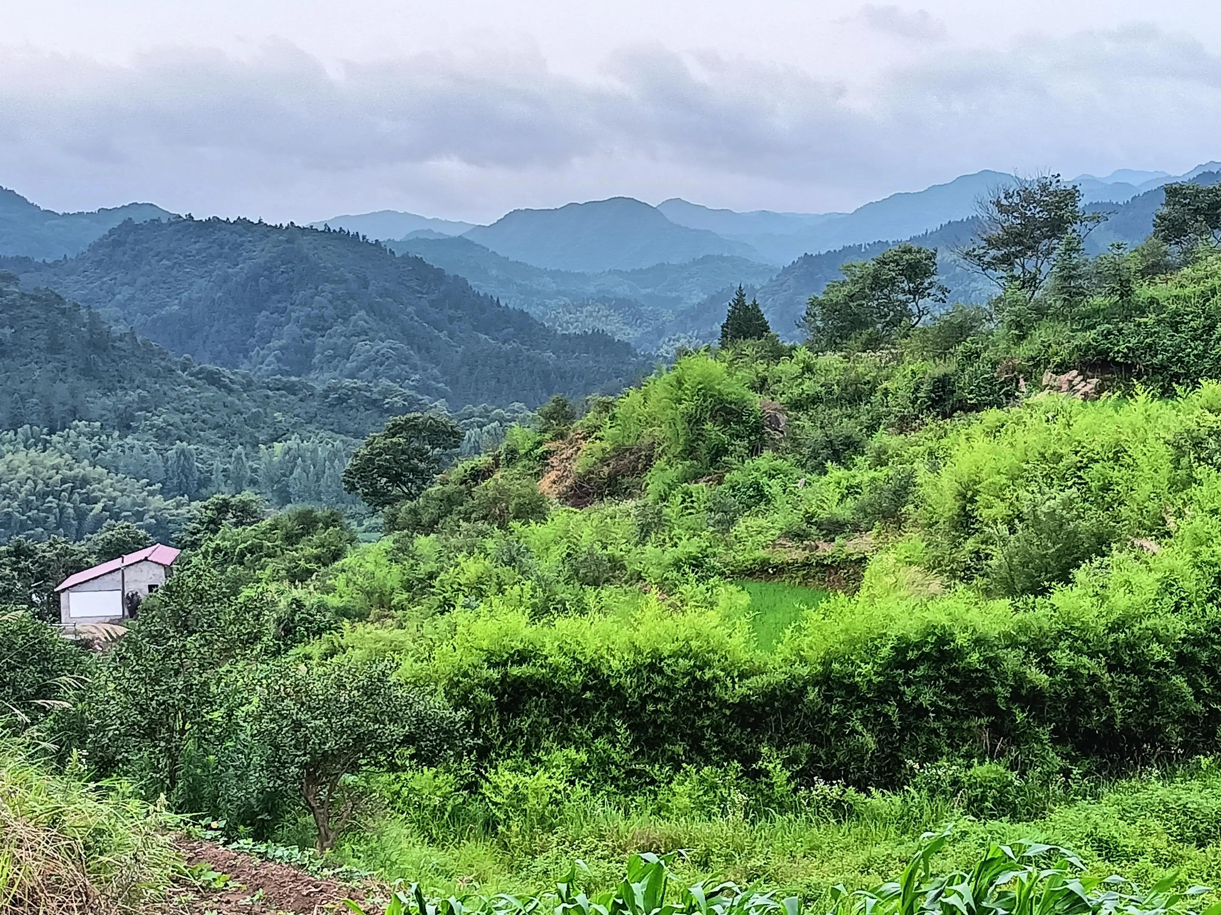 孩子成长的路上需要我们用心陪伴,孩子成长的同时父母也要一起成长
