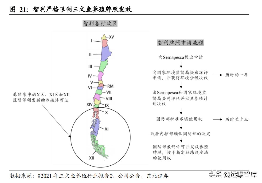 佳沃智利新三文鱼工厂,佳沃食品智利三文鱼