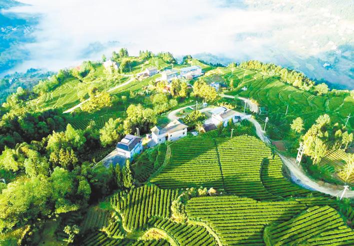 懂技术善营销会培训恩施新农人牵手乡邻奔“钱”景