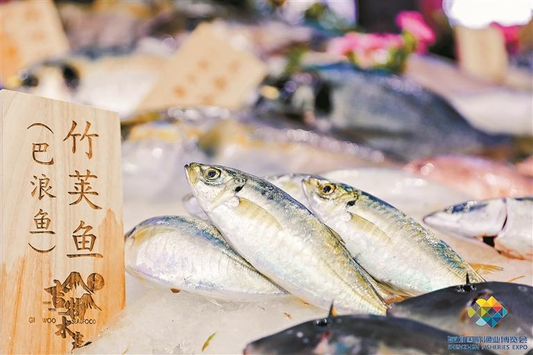 是条什么大鱼？吸引全城目光