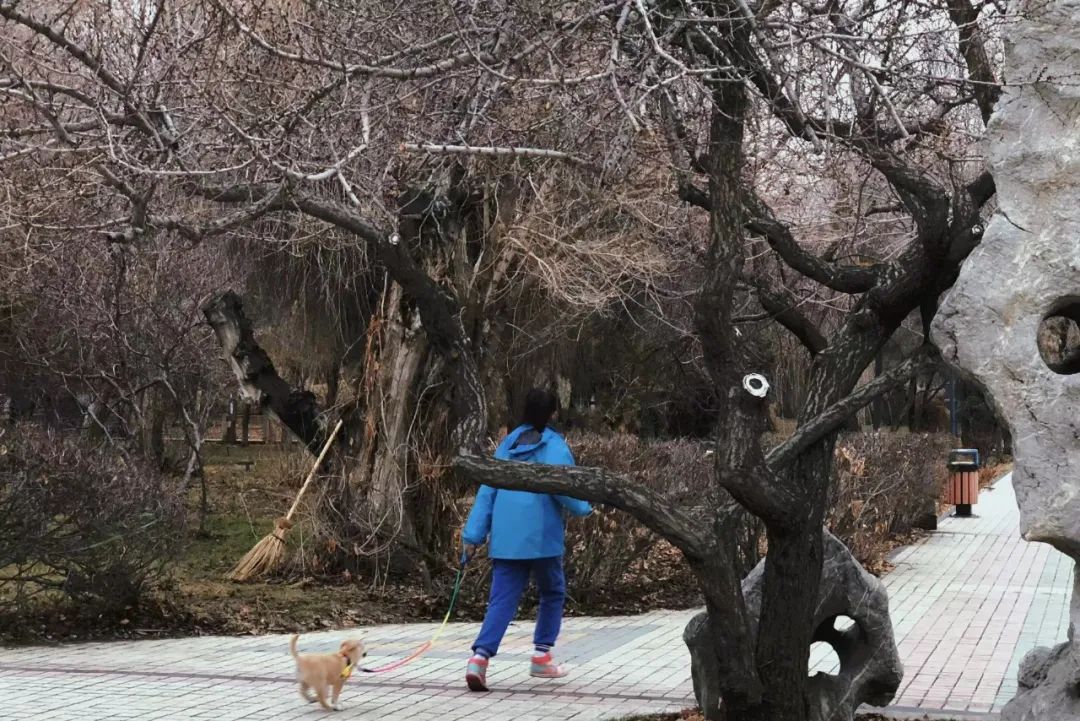 乌鲁木齐城市交通如何疏堵,压马路乌鲁木齐