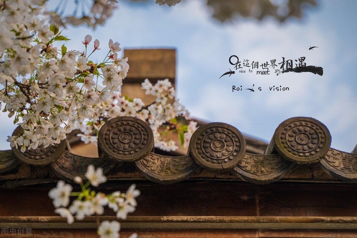 时光荏苒岁月如梭的拼音,时光荏苒岁月如梭完整的歌