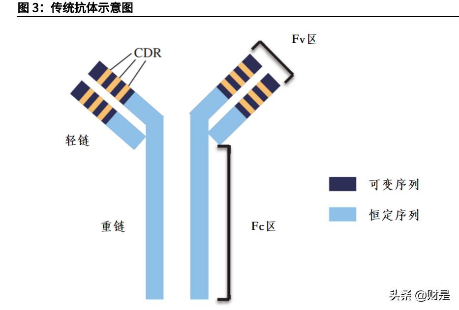 和铂医药是国企吗,和铂医药深度分析