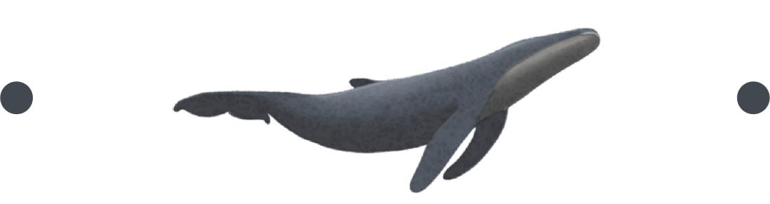 上个世纪，被卖到中国大连的日本少女们