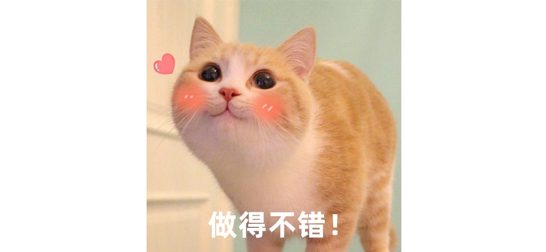 纯福猫砂甲醛超标,猫砂甲醛排名前十