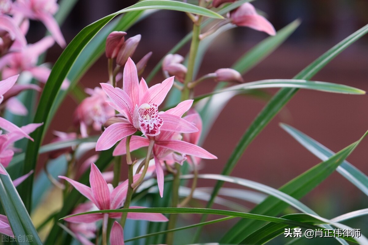 网贷管辖权异议申请,管辖权异议法律条文