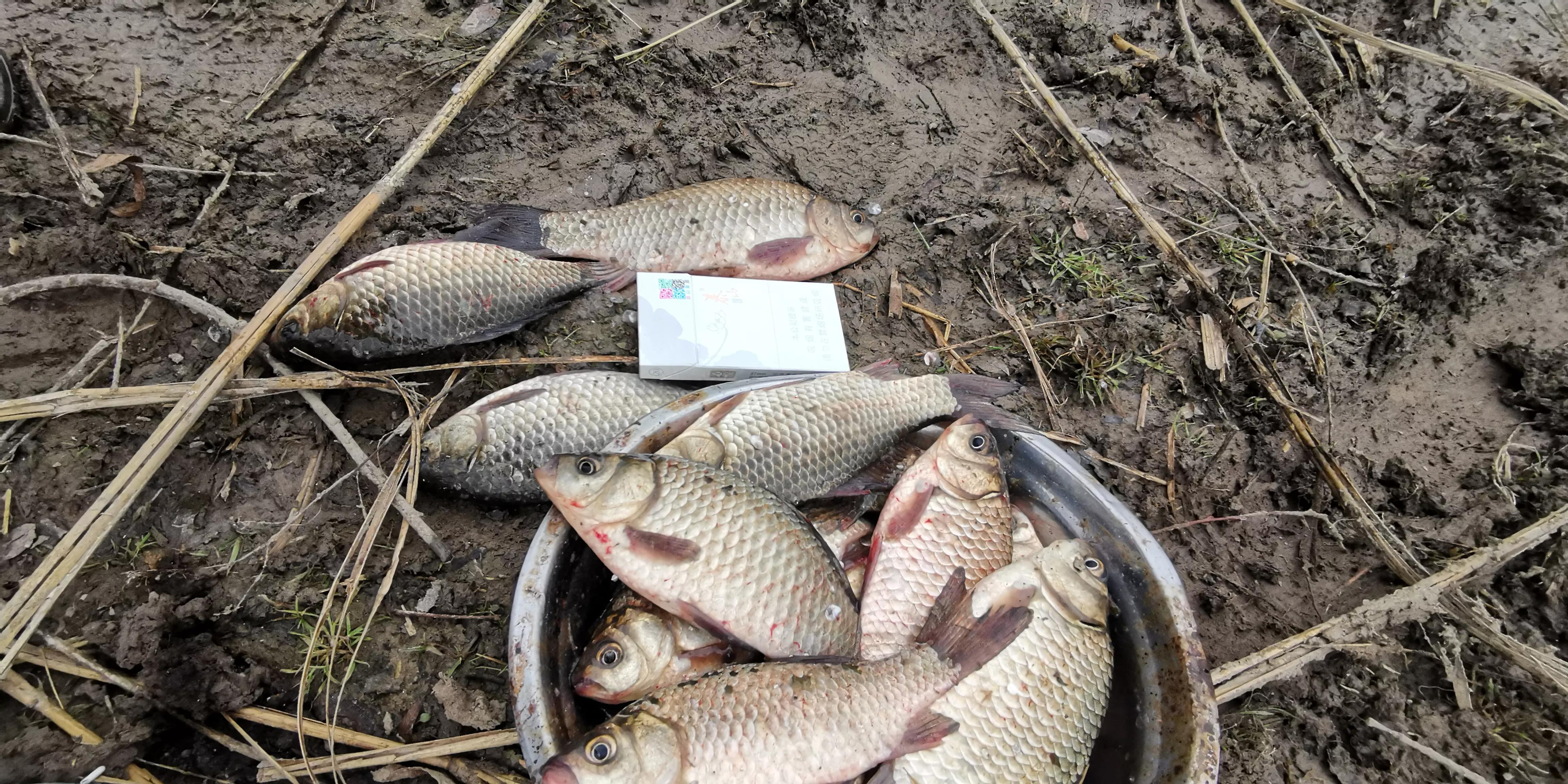 野钓怎么抛竿调漂比较准,钓鱼选钓位天气