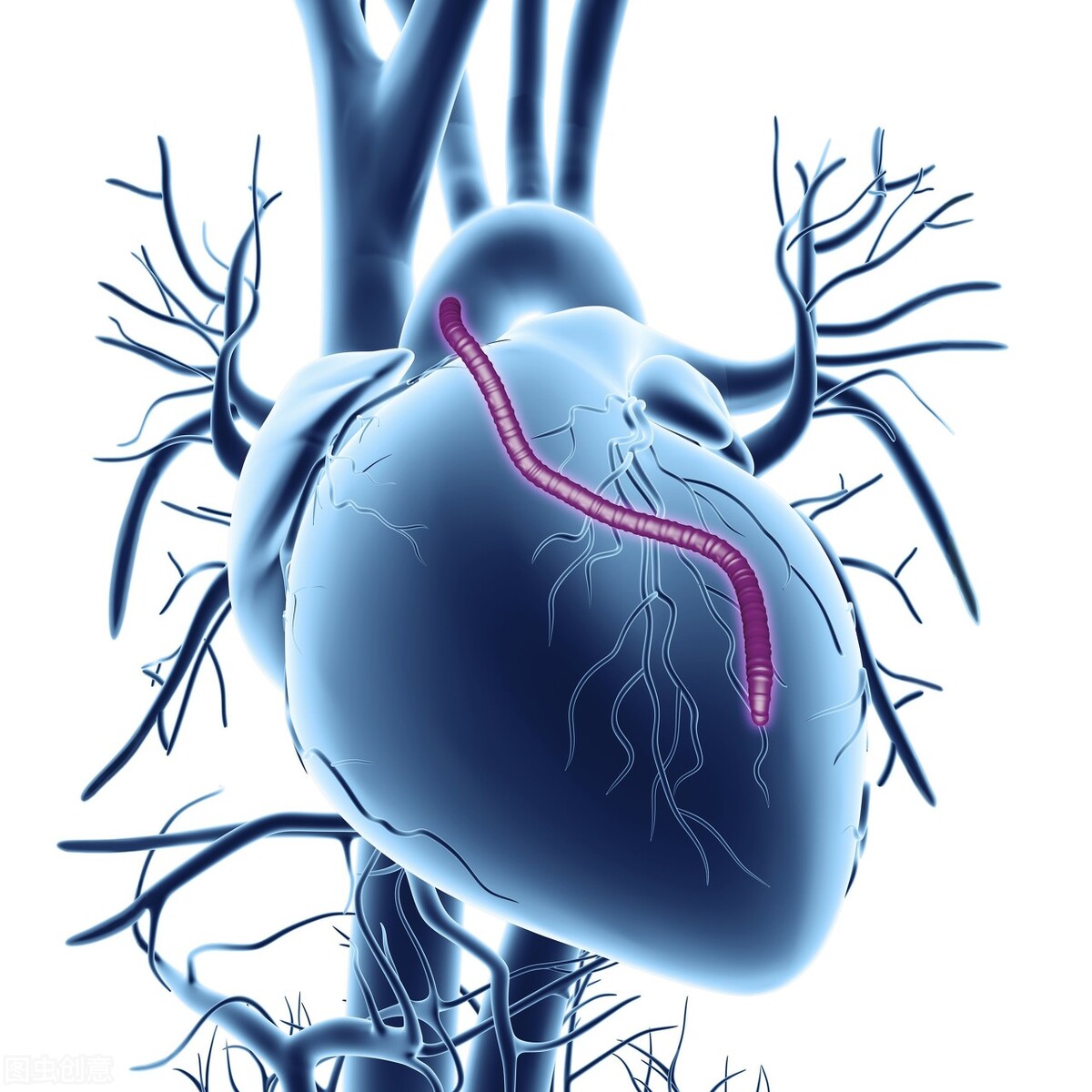 手指粗是肺癌的预兆,手指变粗是肺癌的预兆