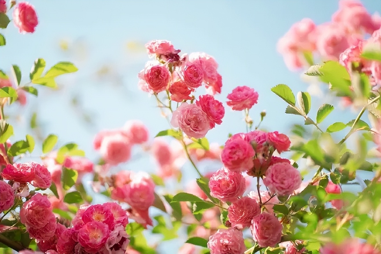 微信上从不发朋友圈的女人，不是低调，十有八九是五种人