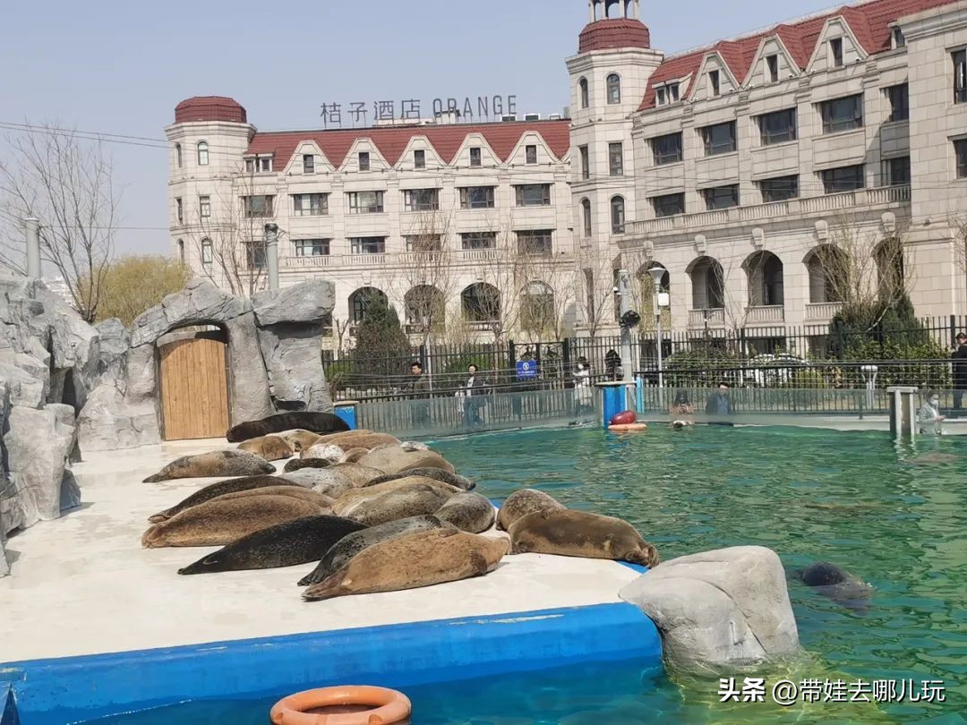 天津海昌极地海洋公园冬天营业吗,天津海昌极地海洋公园游玩攻略