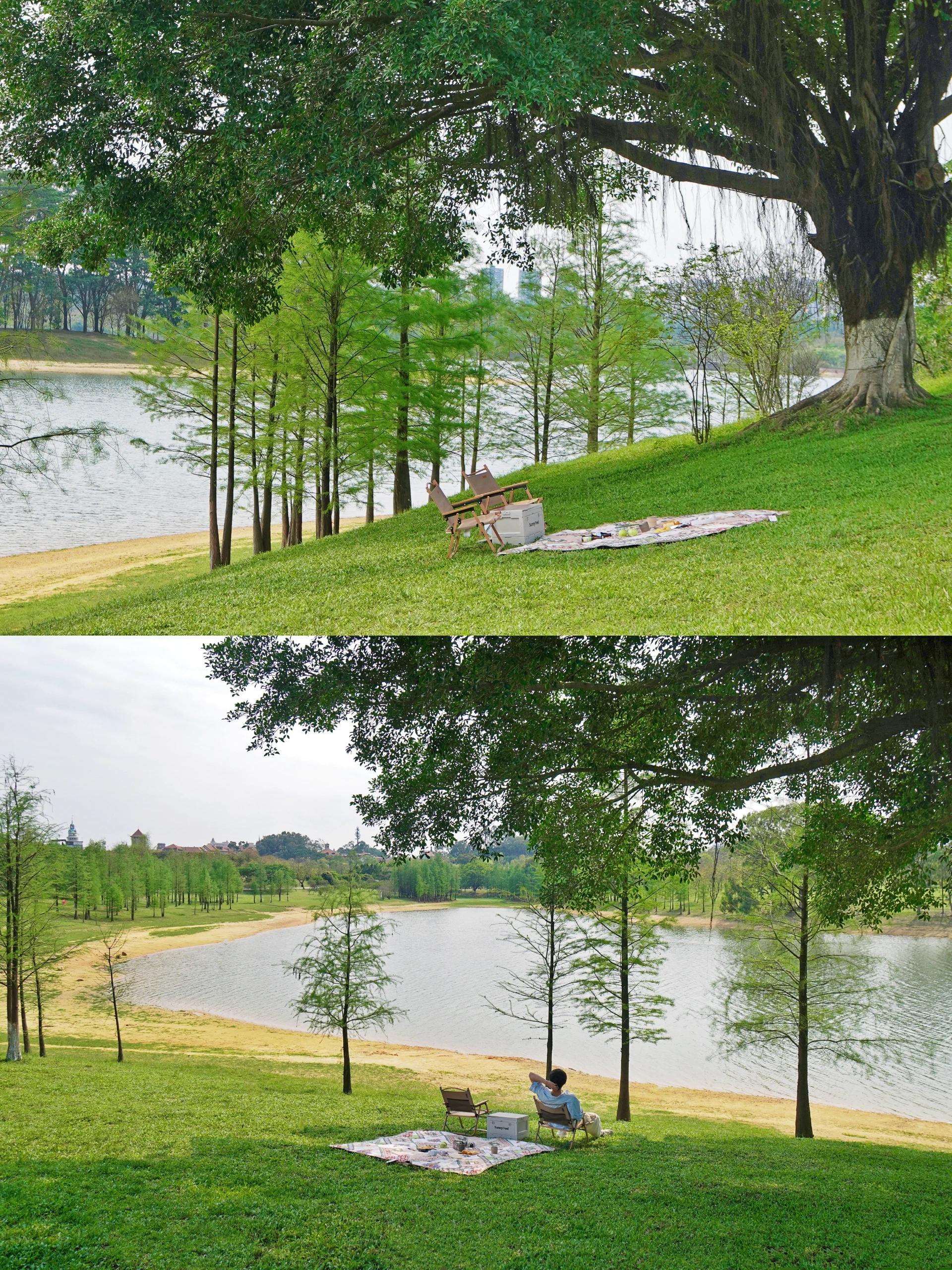 东莞旅游必去攻略,游东莞必去的9个地方