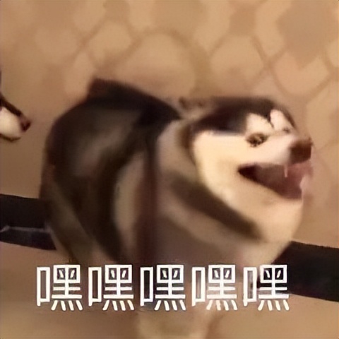 免费的进销存手机app哪个好用,6款全部免费的app