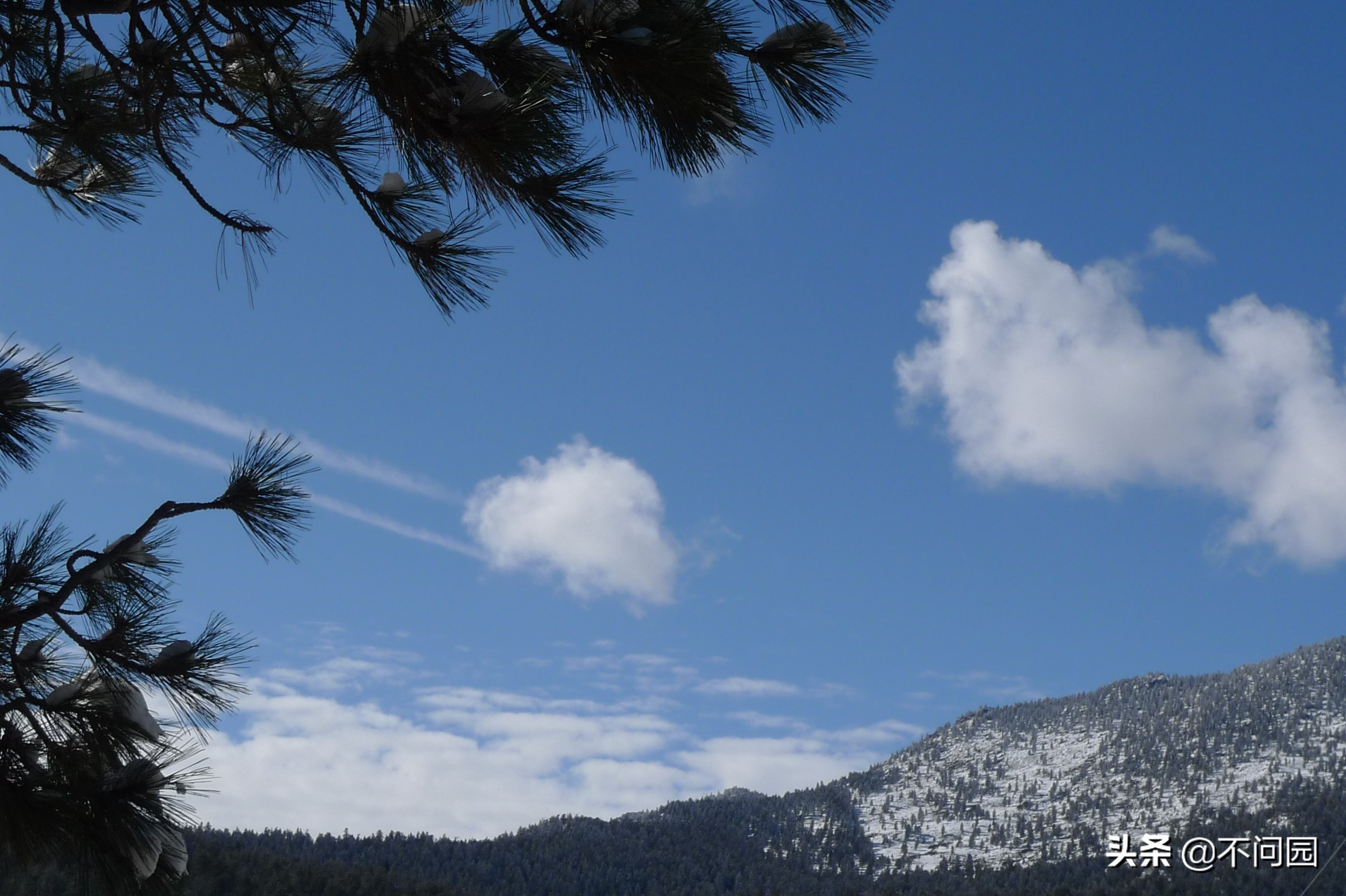 棕榈泉缆车,美国加州棕榈泉缆车
