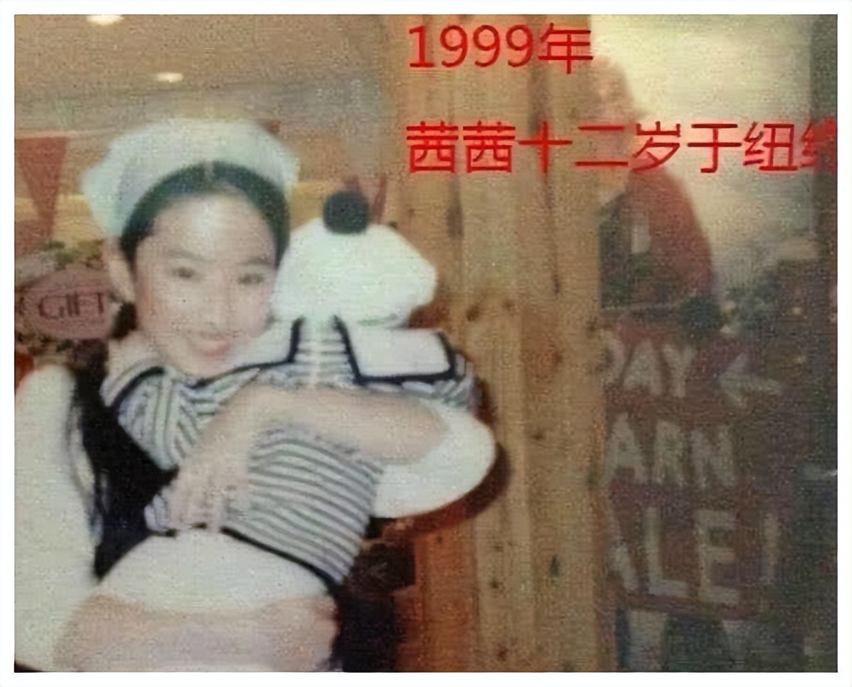 放弃婚姻和事业，若不是“天仙妈妈”刘晓莉，怎会有刘亦菲今天？