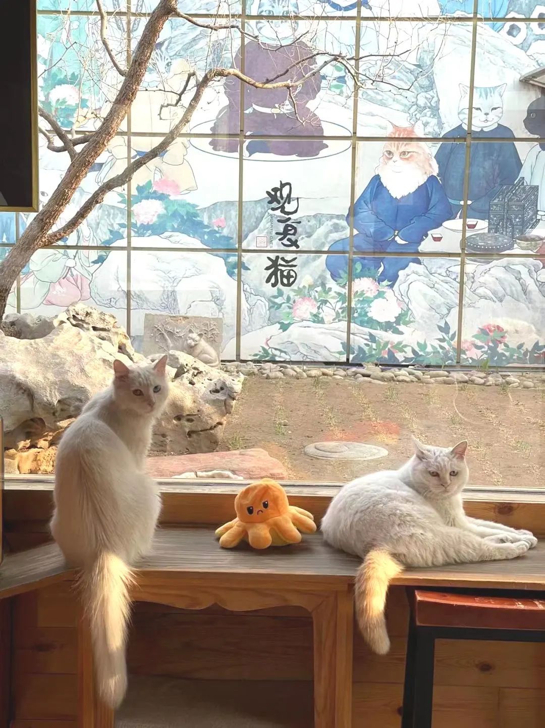 赵明明：上班摸鱼，是我的梦想!