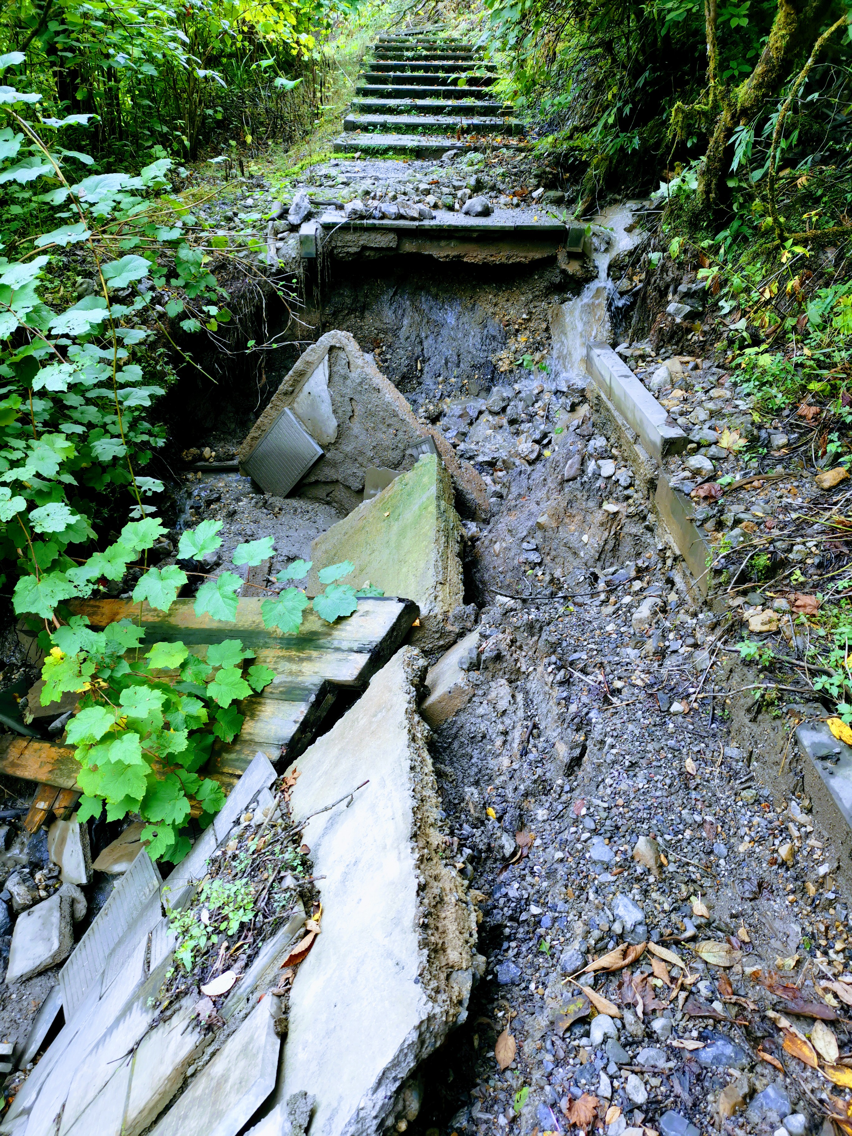 成都大邑徒步旅游攻略,大邑西岭雪山后山门票
