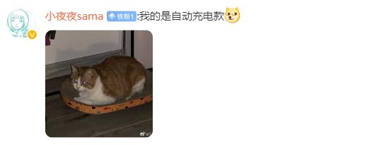 每日一笑段子,每日一笑第一期段子